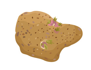 Potato plant. Imperfect vegetable. Vector isolated illustration. Realness concept.