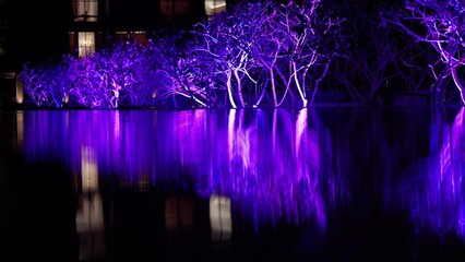night illumination of the pool, thousands of blue light bulbs on trees, night sky with reflection in the pool, Indonesia, Bali