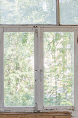 Old window with wooden painted frame: overlooking the trees in the garden