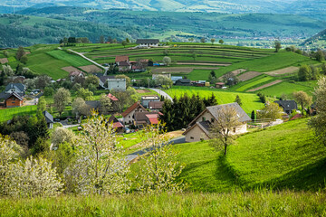 Historic agrarian landscape, Hrinovske lazy, Slovakia © vrabelpeter1