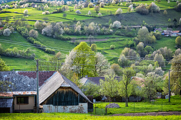 Historic agrarian landscape, Hrinovske lazy, Slovakia © vrabelpeter1