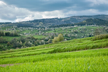 Historic agrarian landscape, Hrinovske lazy, Slovakia © vrabelpeter1