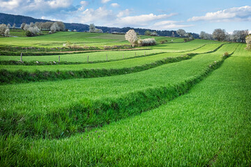 Historic agrarian landscape, Hrinovske lazy, Slovakia © vrabelpeter1