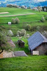 Historic agrarian landscape, Hrinovske lazy, Slovakia © vrabelpeter1