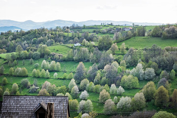 Historic agrarian landscape, Hrinovske lazy, Slovakia © vrabelpeter1