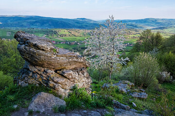 Historic agrarian landscape, Hrinovske lazy, Slovakia © vrabelpeter1