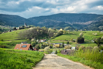 Historic agrarian landscape, Hrinovske lazy, Slovakia © vrabelpeter1