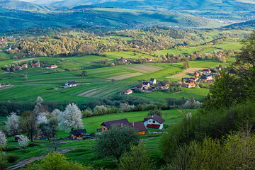 Historic agrarian landscape, Hrinovske lazy, Slovakia