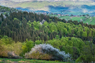 Historic agrarian landscape, Hrinovske lazy, Slovakia © vrabelpeter1