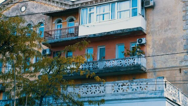 The cat sits on the balcony and washes. Old beautiful building on a warm summer day. 4K