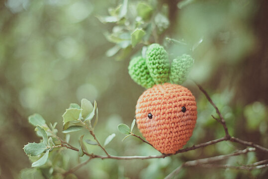 Crochet carrot (Amigurumi) on a branch in the garden