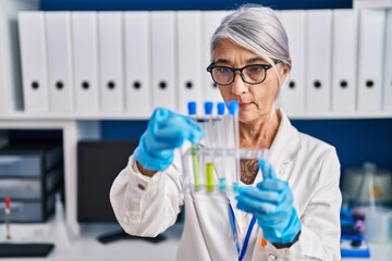 Middle age grey-haired woman scientist holding test tubes at laboratory