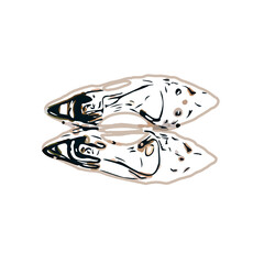color sketch of women's shoes with transparent background