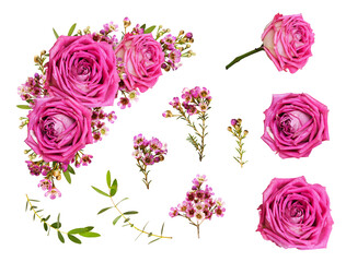 Set of pink roses and chamelaucium flowers and a corner floral arrangement isolated on white or transparent background