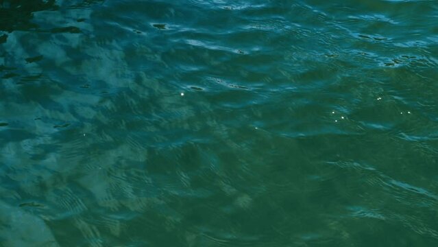 Ripples on the sea water. Close-up. Aqua, blue and green. 4K