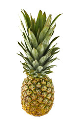 Pineapple isolated on the transparent background
