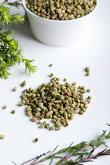 Bundle of fresh green aromatic thyme herbs with dried thyme seeds.