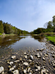 A creek in a nature conservation park, with stones along the riverbed and surrounded by green trees and a blue sky. A wide-angle view from below. belwood lake conservation park, Ontario, Canada