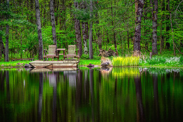 Spring has sprung at our friend's pond in Upstate NY.  This is a very calm and tranquil spot to enjoy Nature and the flowers growing tall.  