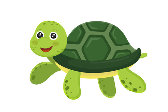 Cute kid of green turtle. Ocean creature icon isolated on white background. Sea animal in cartoon style. Funny tropic underwater wild life, colorful exotic aquarium collection. Vector illustration