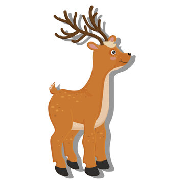Woodland animals set. Cute forest wildlife. Little fawn, deer or moose. Perfect for scrapbooking, card, poster, sticker kit. Children educational banner. Fauna image for kid. Vector illustration