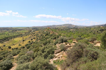 Fototapeta premium Landscape around Temple of Concordia in Agrigento, Sicily Italy