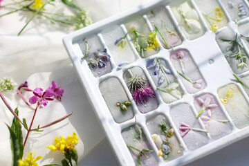 ice mold with frozen flowers. Ice cubes for cooling on a summer day