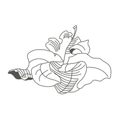 Linear sketch of a leaf. Flying autumn oak leaf. Delicate twisted leaf. Botanical drawing. Ecostyle of nature.