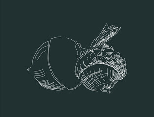 Sketch drawing of a common oak acorn. Linear natural motives
