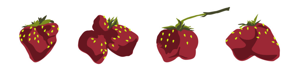 Ripe strawberries of an unusual shape. Juicy summer red berry. Vector drawing