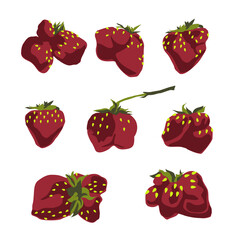 Ripe strawberries of an unusual shape. Juicy summer red berry. Vector drawing