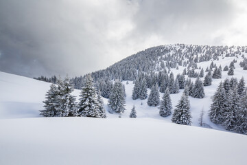 snow covered mountains