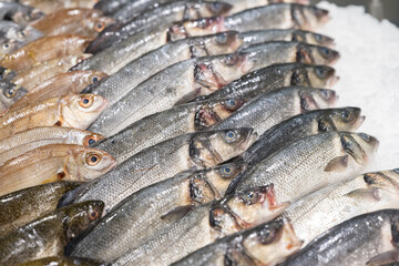 fish in a supermarket in Madeira