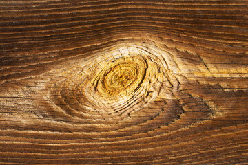 Fototapeta premium Single knot. Wood knot background. Closeup tree knot. Grunge wooden texture. Dry desk cracks pattern. Growth ring pattern. Tree cross section. Natural wooden board. Hardwood structure. Wood grain.