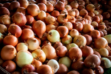 Onions piled on the market stall. Stock Photo.