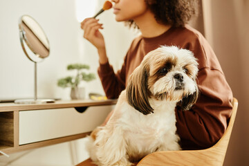 Closeup of black young woman doing makeup at vanity table with cute little dog sitting in lap