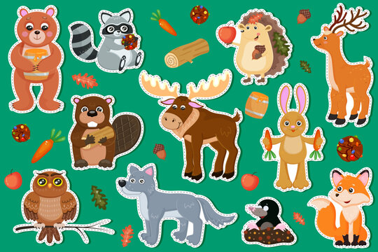 Woodland animals set. Cute forest wild life fox, bear, wolf, rabbit and deer. Perfect for scrapbooking, card, poster, sticker kit. Children educational banner. Fauna image for kid. Vector illustration