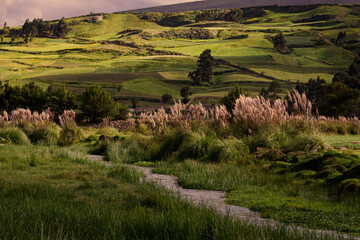 Arroyo discurre entre campos verdes y colinas en los andes peruanos