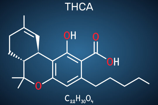 Tetrahydrocannabinolic acid, THCA, tetrahydrocannabinolate molecule. Precursor of tetrahydrocannabinol THC, active component cannabis. Structural chemical formula, dark blue background.