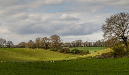 Rural Suffolk landscape, England, UK. - 604701129