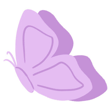Pink butterfly 