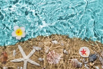 Fototapeta na wymiar Sea water, sand and seashells background. Summer beach. Summer background.