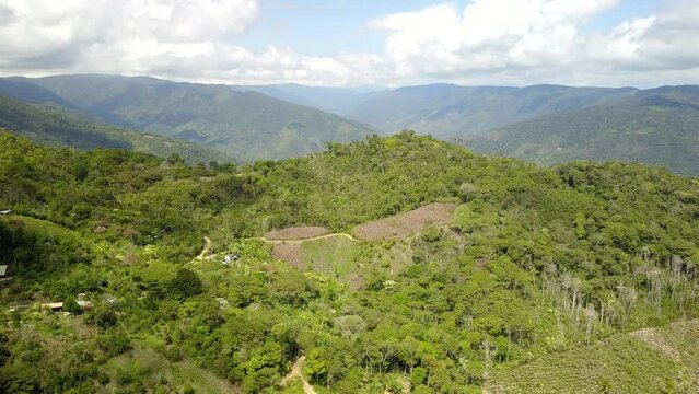 Yungas mountainous jungle in Bolivia
