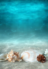 Fototapeta na wymiar Seashell and starfish on the summer beach in sea water. Underwater ocean background.