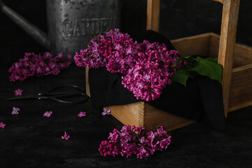 Wooden box of beautiful lilac flowers with watering can on black table