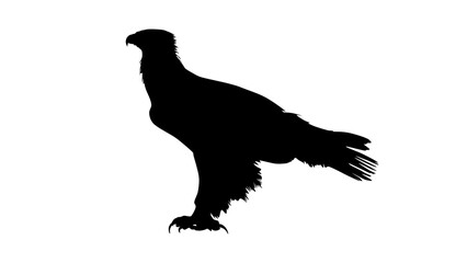 Golden eagle silhouette