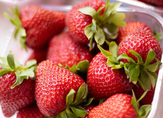 Fresas rojas en mercado, fruta fresca