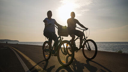 Couple taking pleasure in the ride on beach cruiser bikes, pedaling on a wonderful route near the...