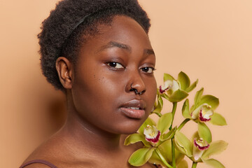 Sideways shot of chubby dark skinned adult woman looks directly at camera holds green orchid flower near face has clean healthy skin looks self confident at camera isolated over brown background
