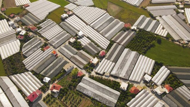Agroindustry commercial greenhouses for growing vegetables, aerial view